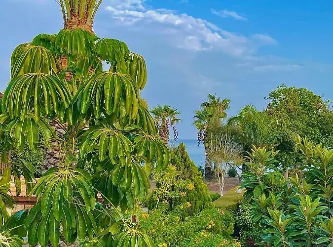 別荘 The Mediterranean Sea At Your Doorstep!!